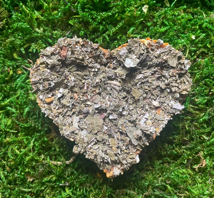 279